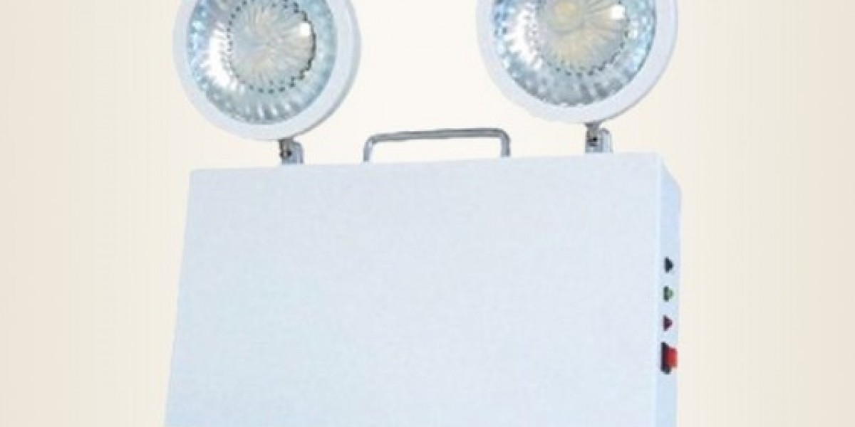 Efficient and Energy-Saving: Exploring Wall-Mounted Emergency Light (2x1W) Features