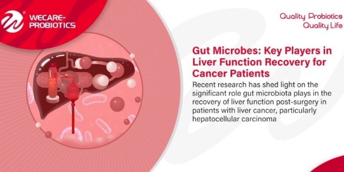 Gut Microbes: Key Players in Liver Function Recovery for Cancer Patients